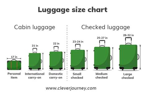 12 lb checked luggage.